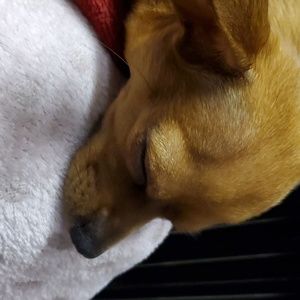 Meet your Posher, Melody